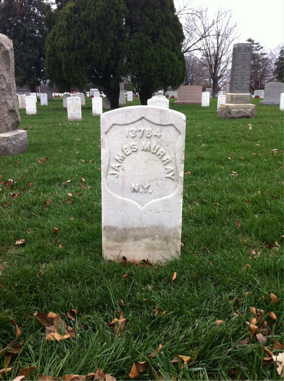 James Murray