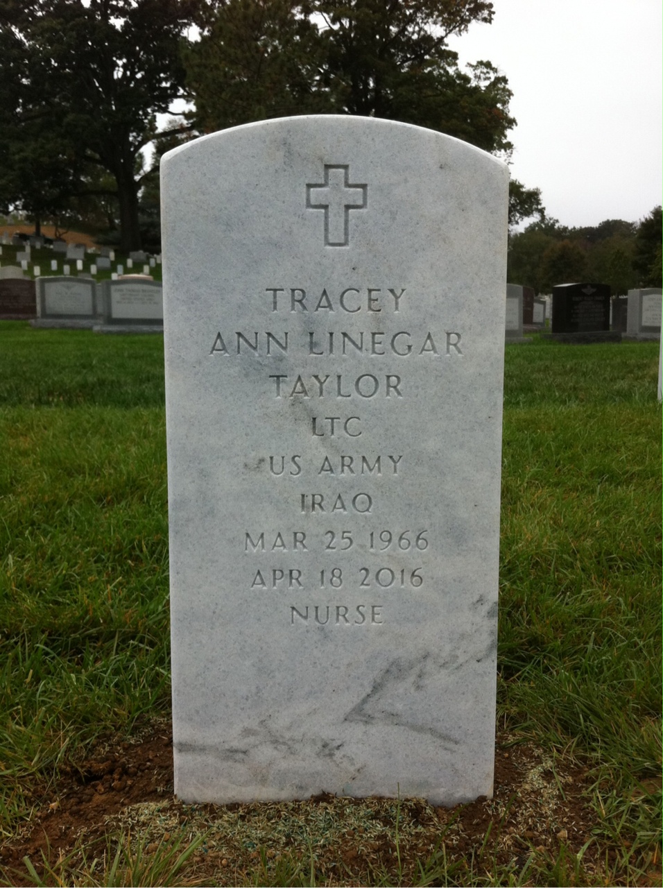 Tracey A Linegar Taylor