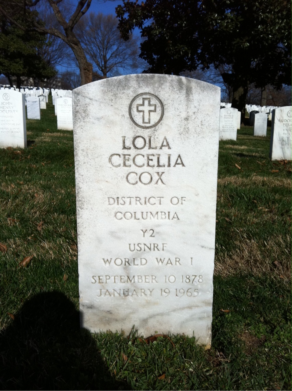 Lola Cox