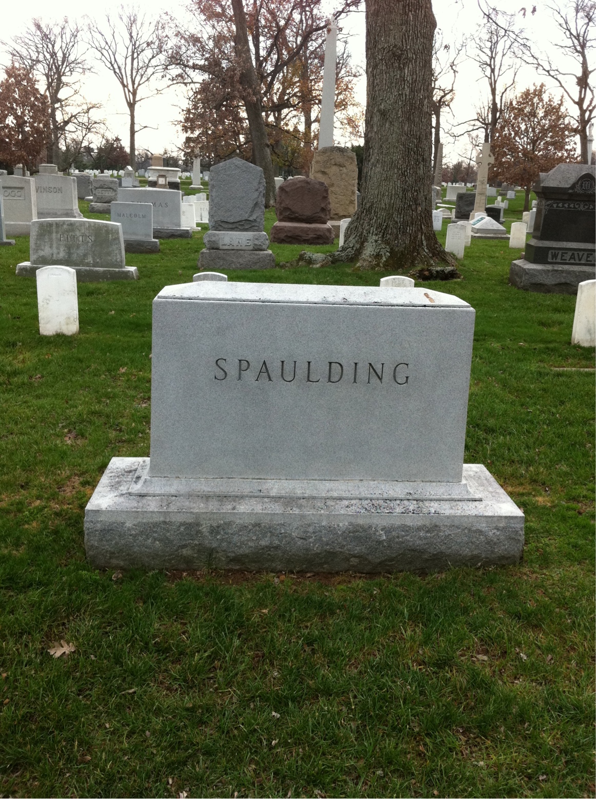 Back of headstone — Thomas M Spaulding