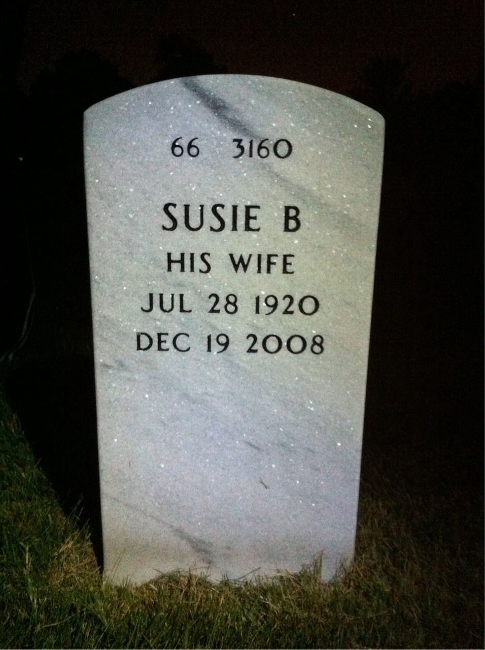 Back of headstone — Ray Lewis