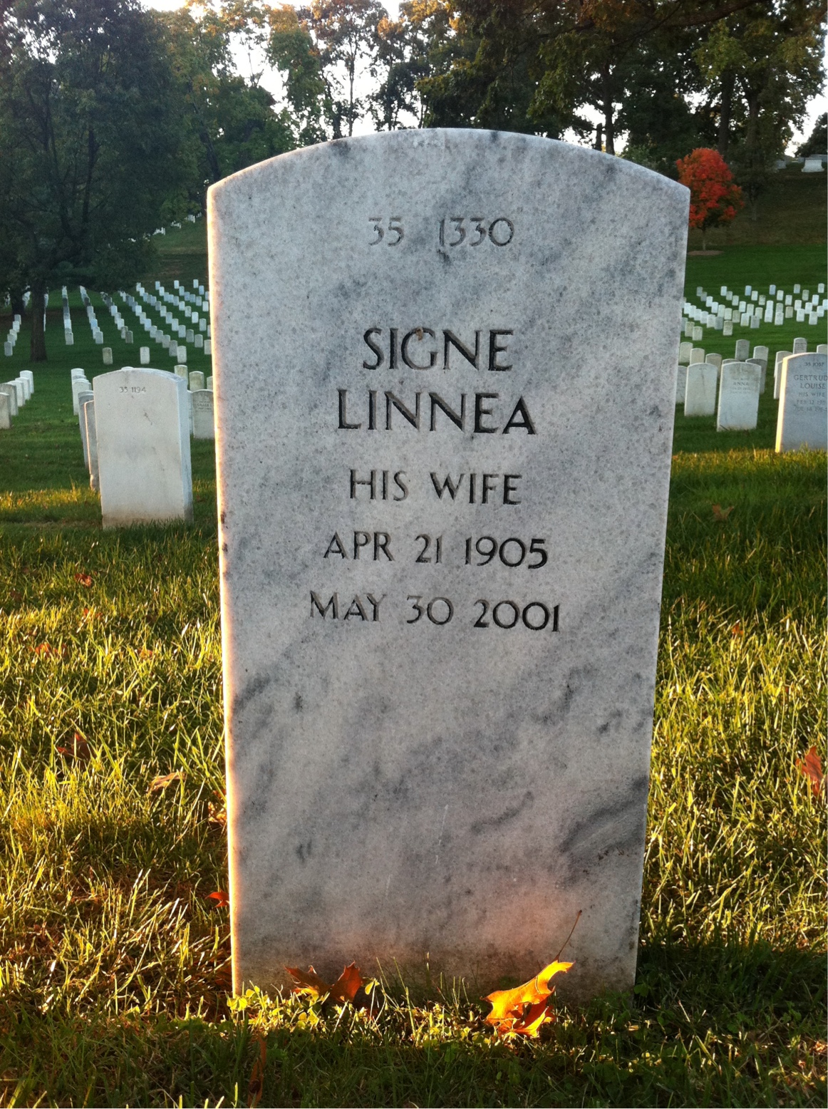 Back of headstone — Gustav Anderson