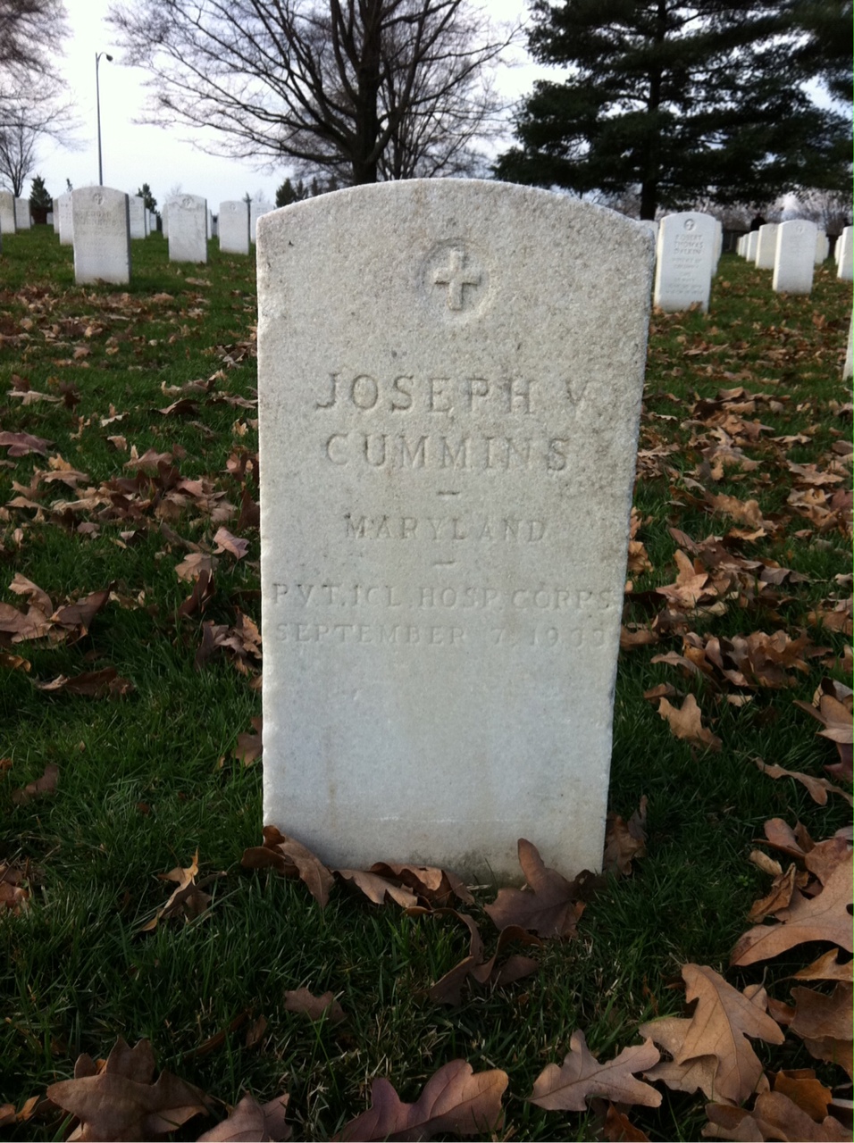Joseph Cummins