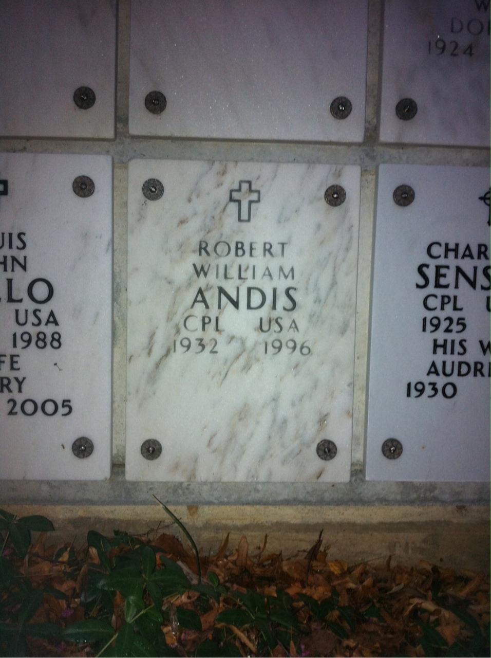 Robert Andis