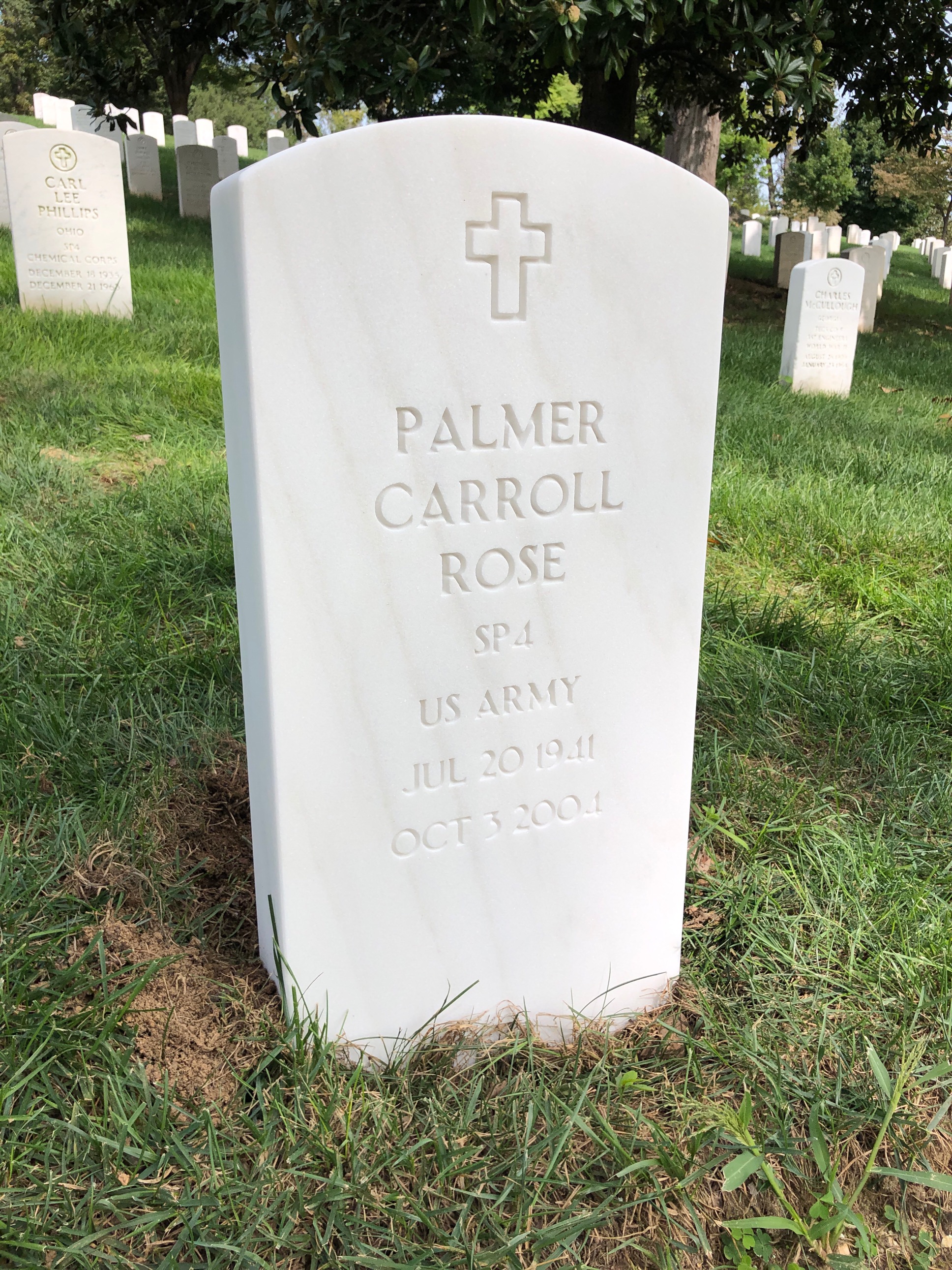 Palmer Rose