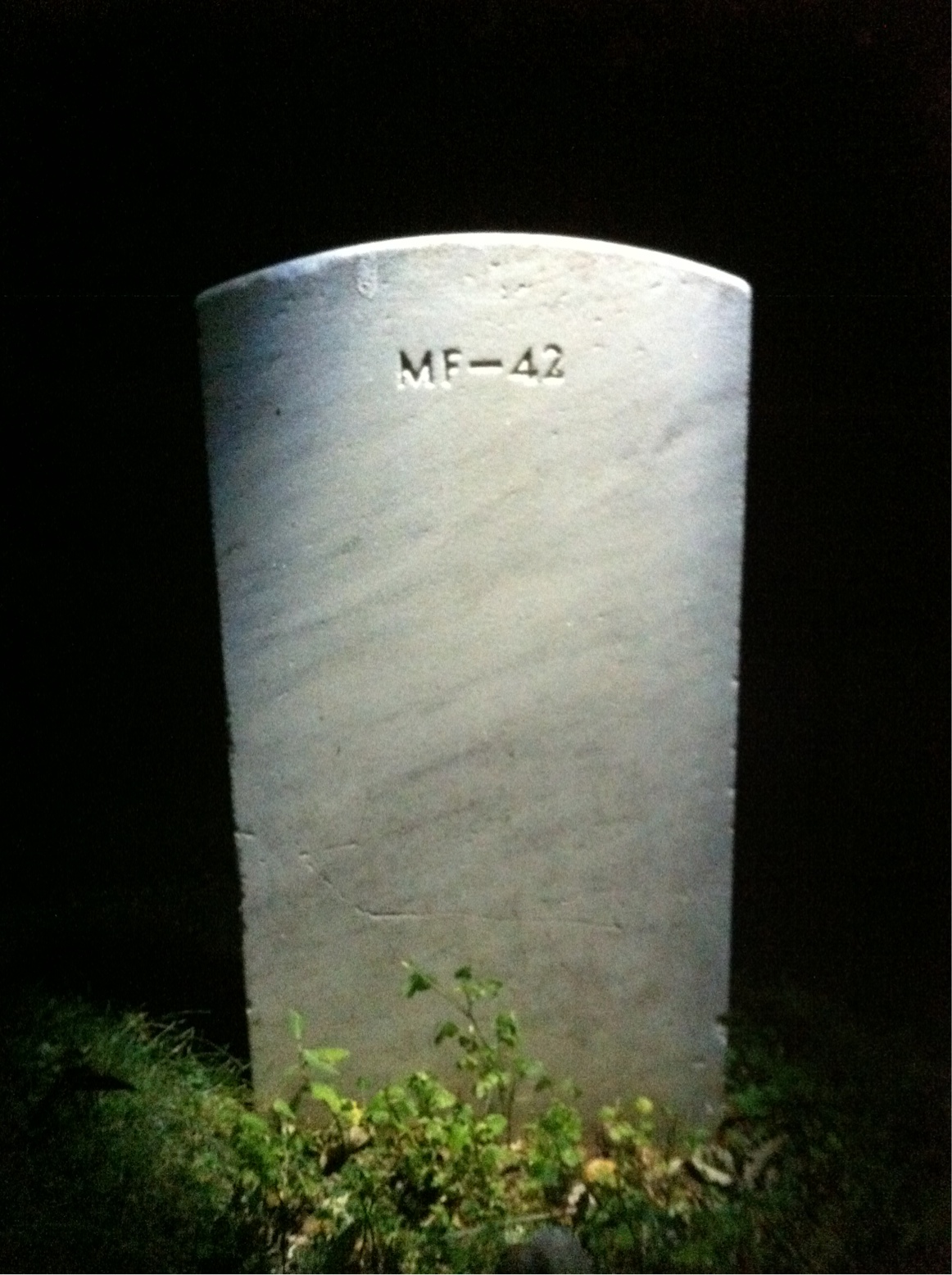 Back of headstone — William Issac Barrett
