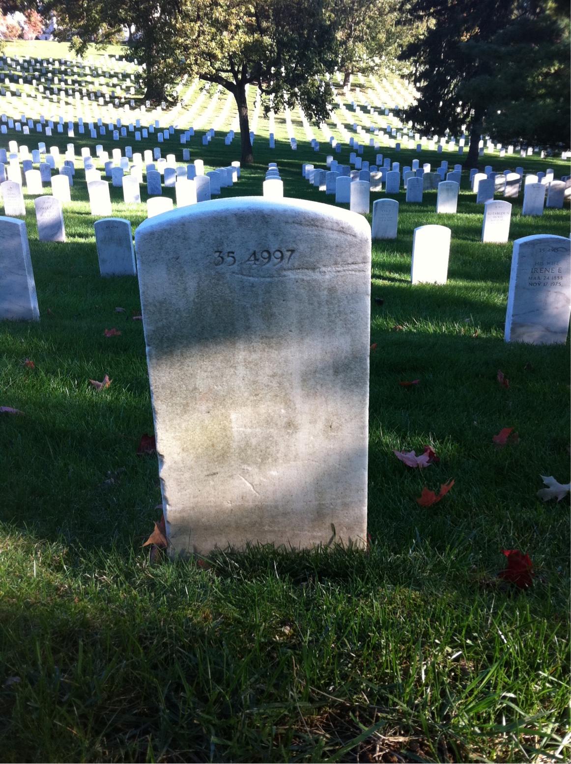 Back of headstone — Johnny Alexander