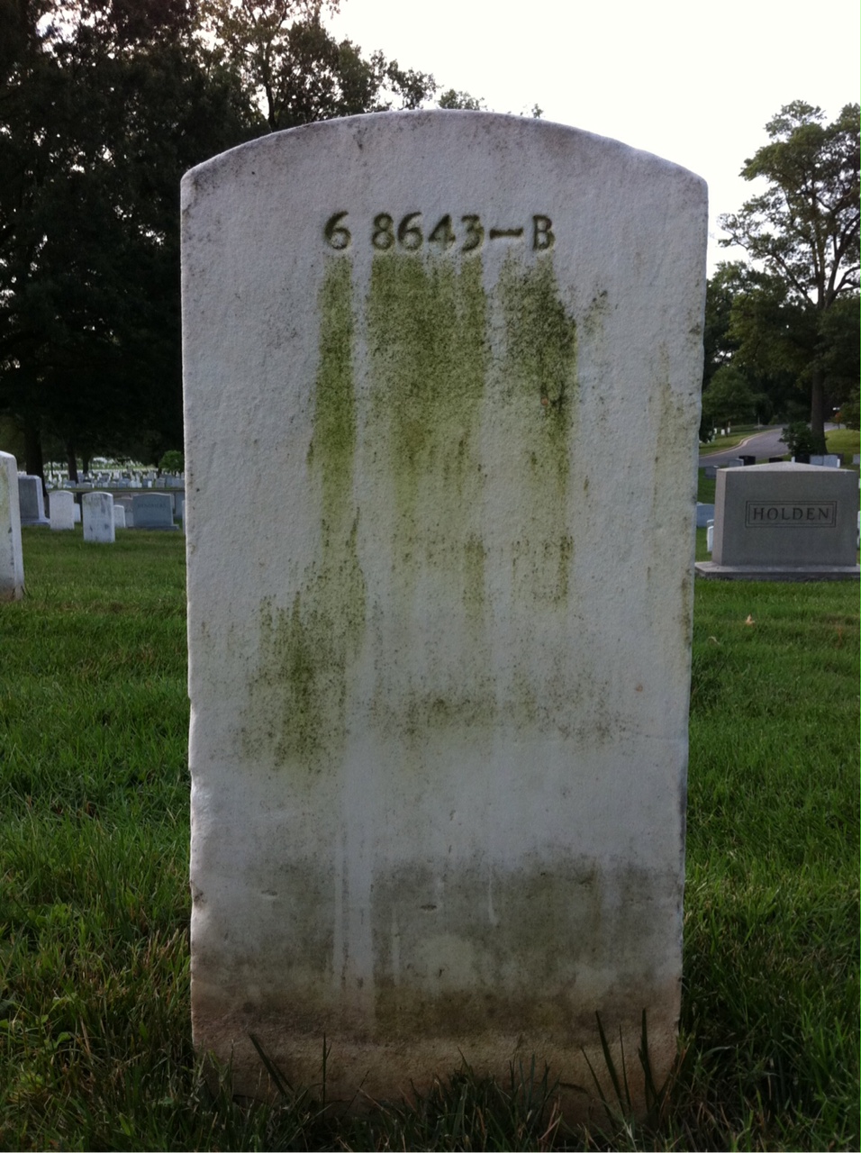 Back of headstone — Megan Mckenzie