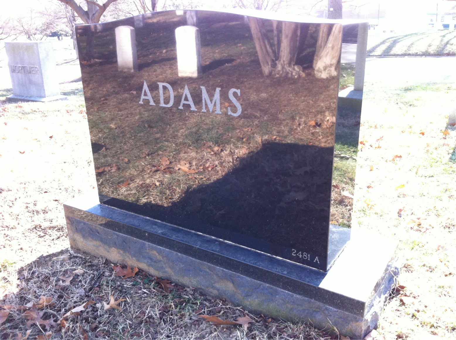 Back of headstone — Theodore Adams