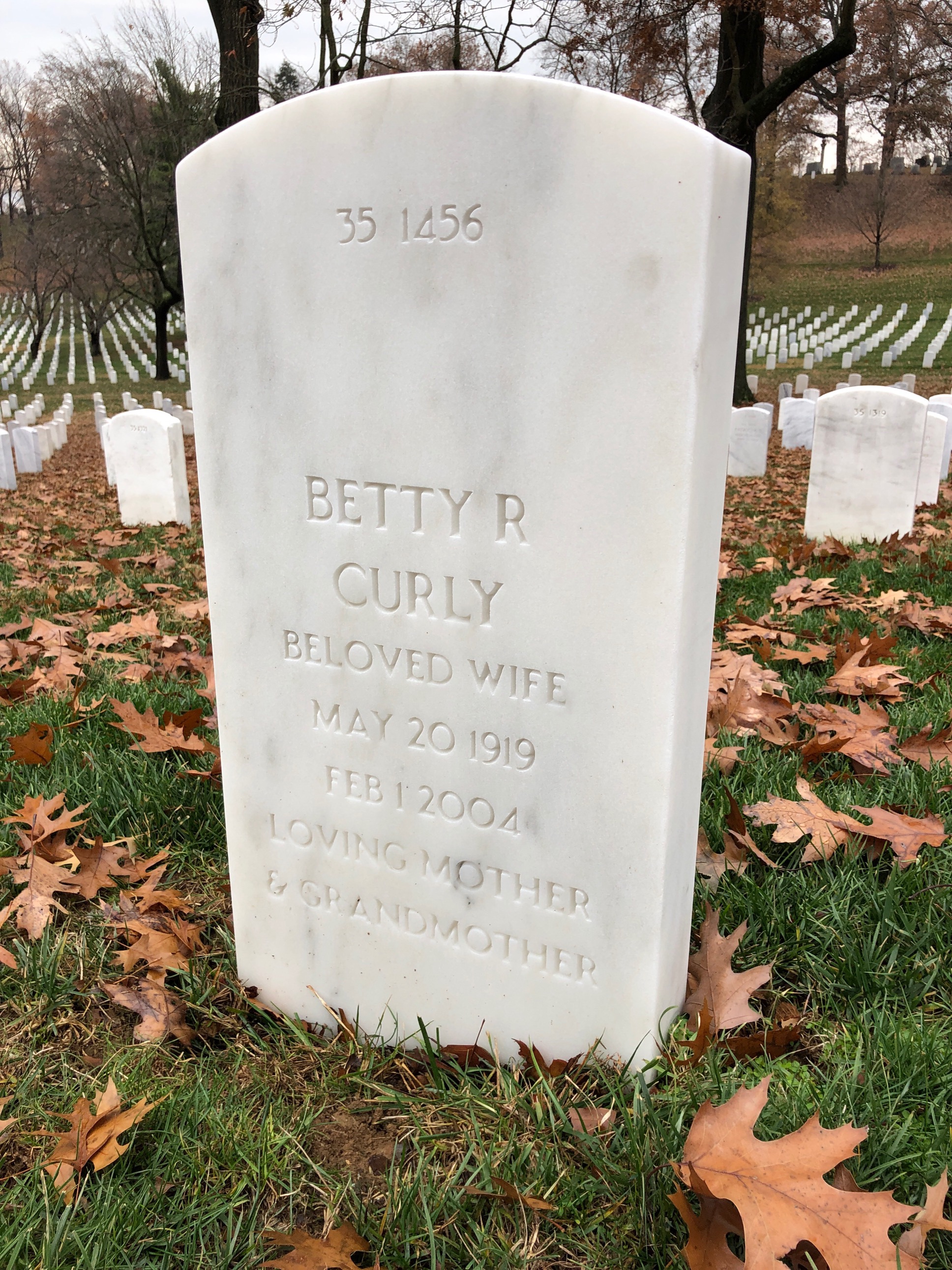 Back of headstone — Jules Harvis