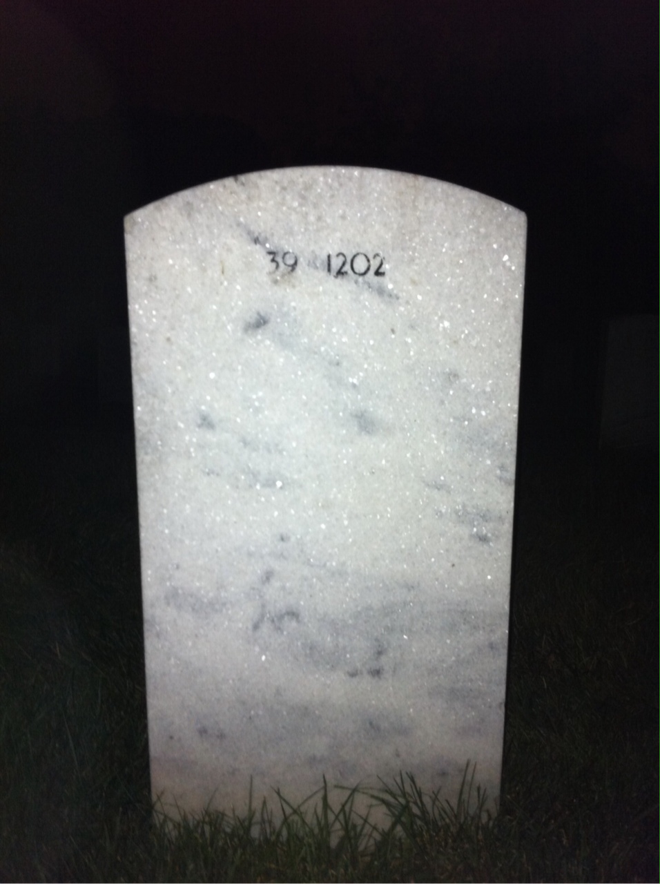 Back of headstone — Willie L Hargrove