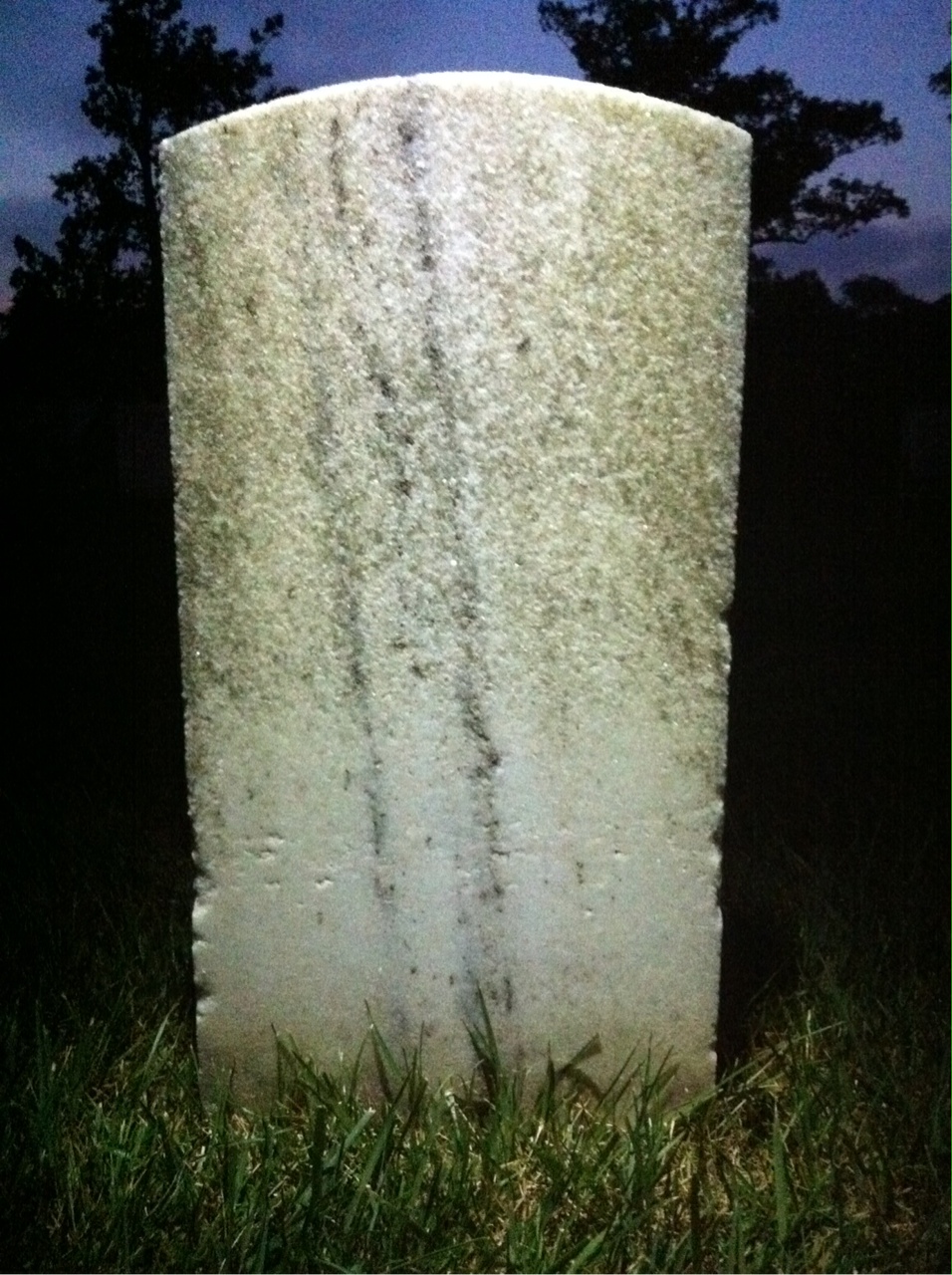 Back of headstone — Levi Austenson