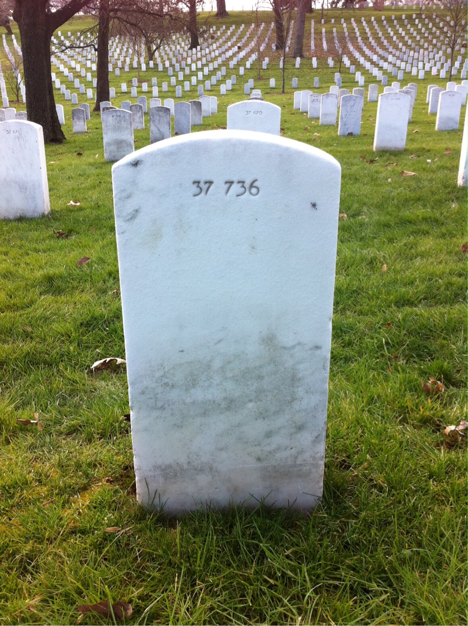 Back of headstone — William Muir Hamilton