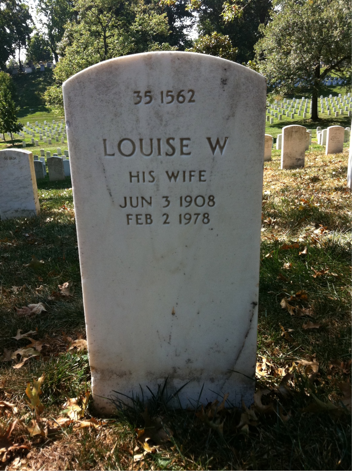 Back of headstone — Irvin Menikheim