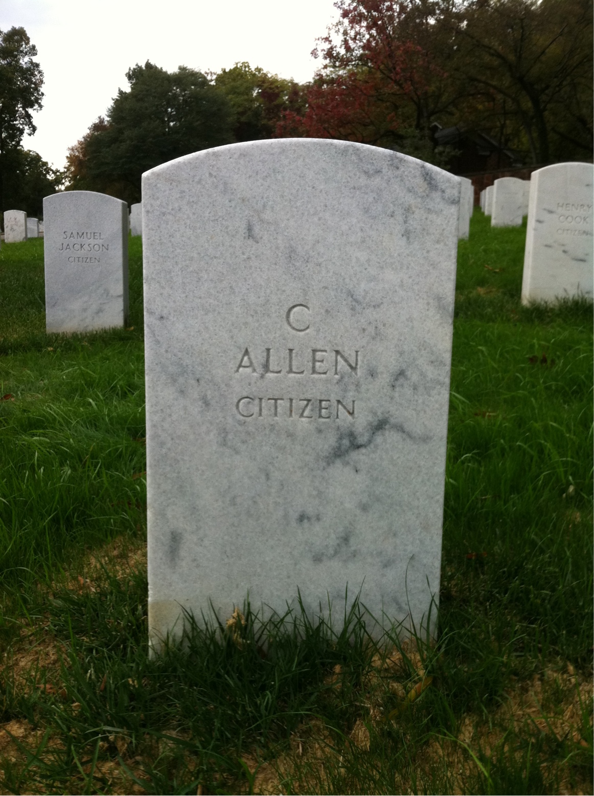 C Allen