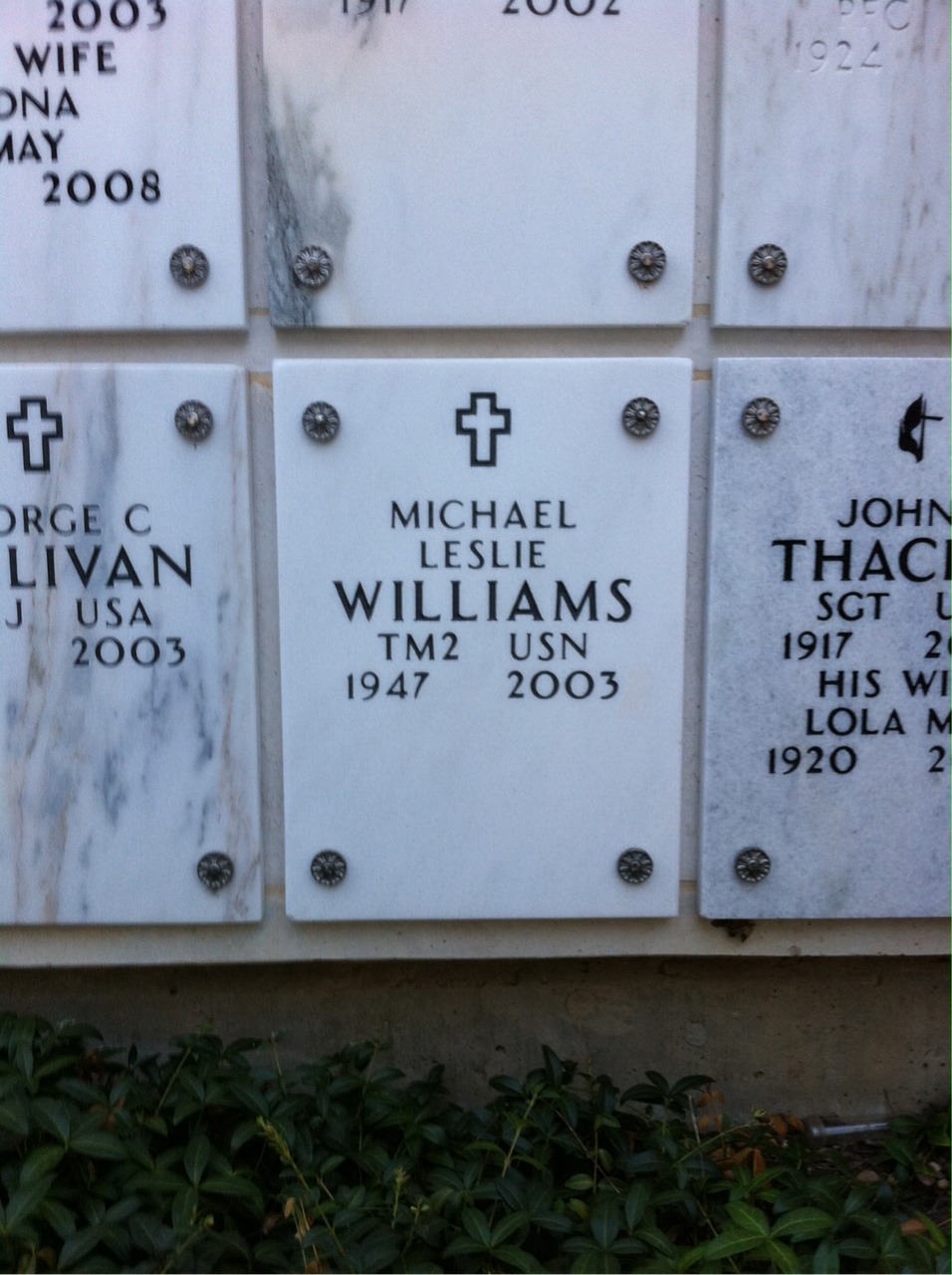 Michael Williams