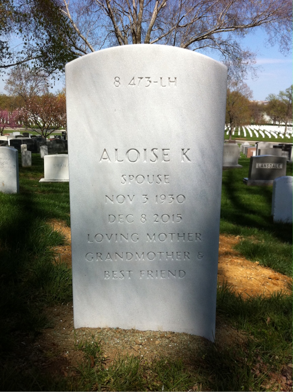 Back of headstone — Andrew Zavoy