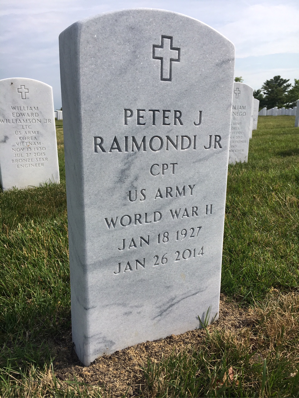 Peter J Raimondi
