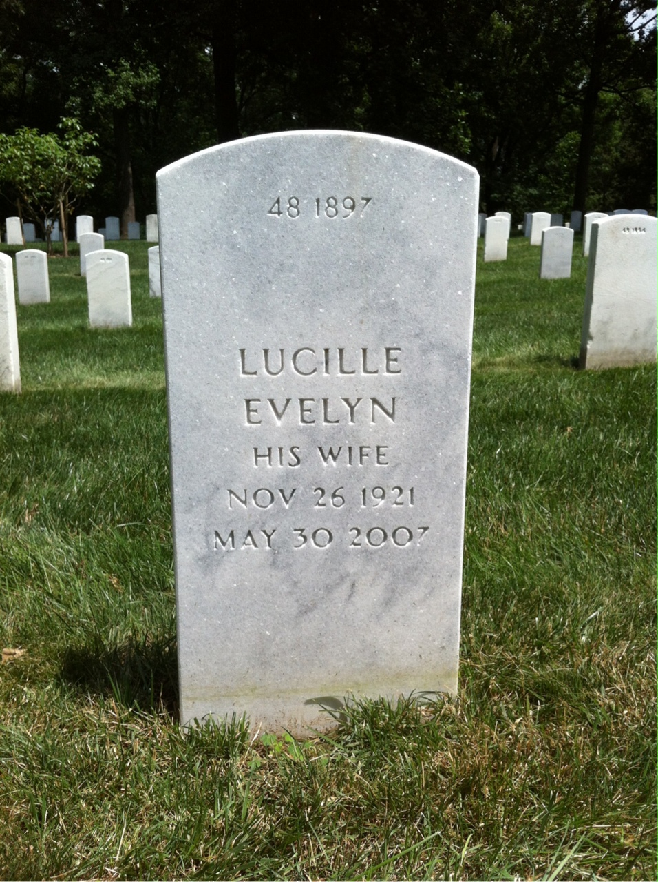 Back of headstone — Cornelius Buckley