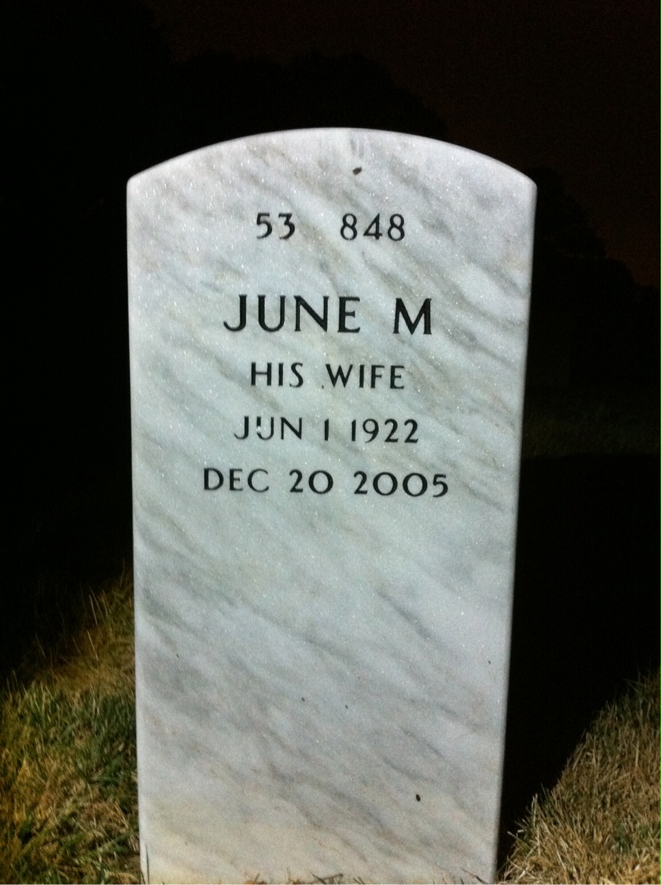 Back of headstone — Francis Adams