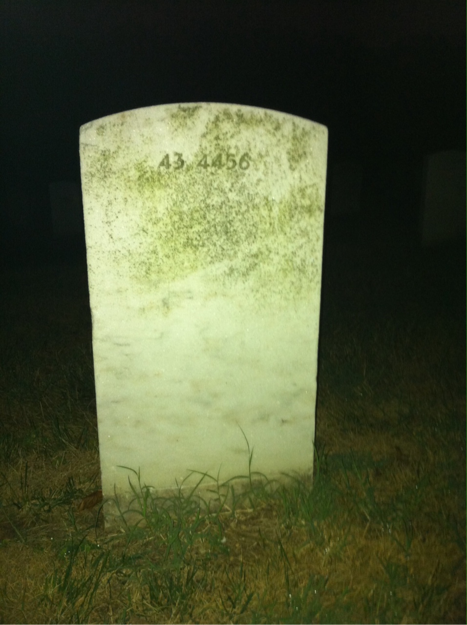 Back of headstone — William Miller