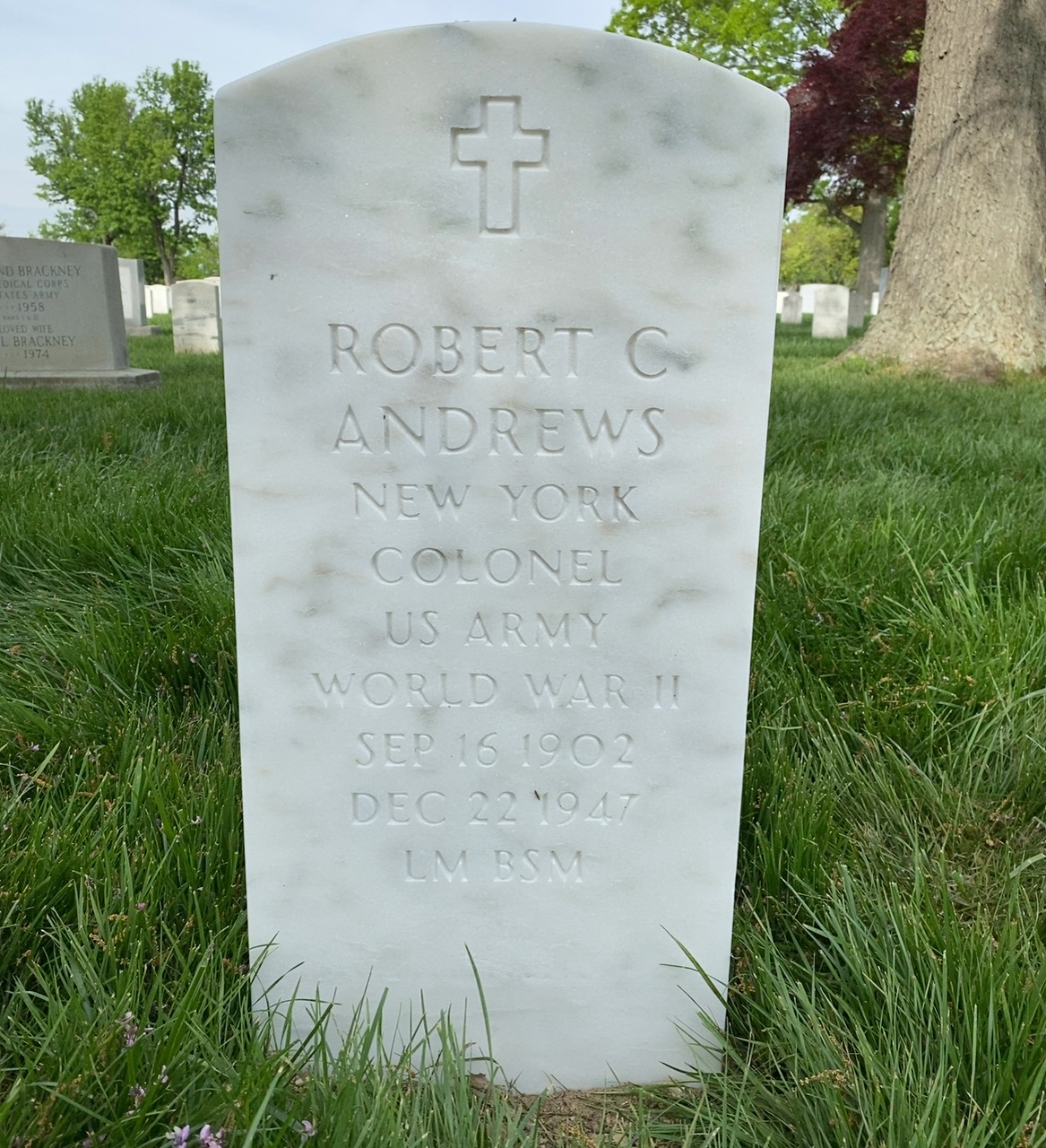 Robert Andrews