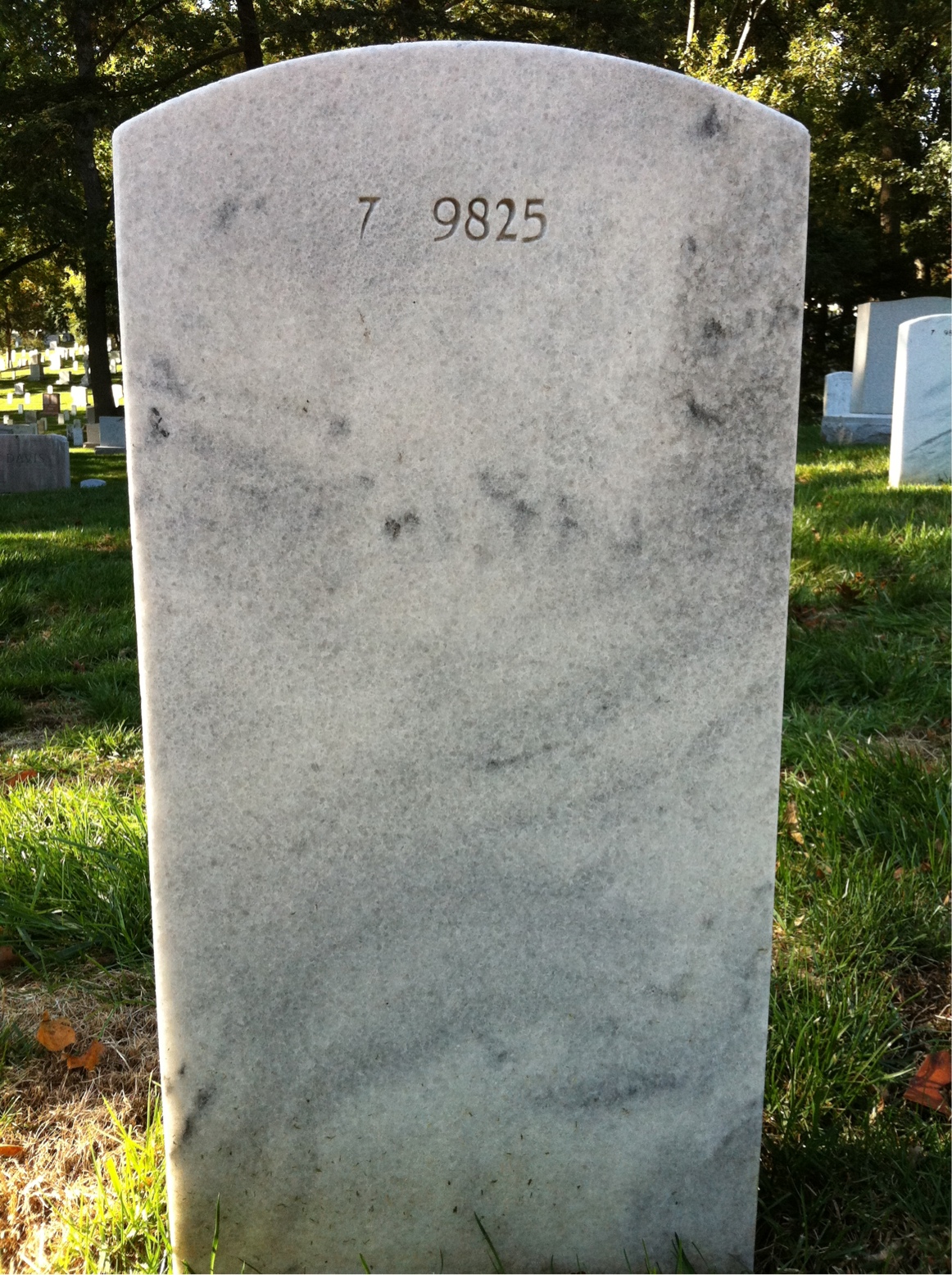 Back of headstone — William Murphy