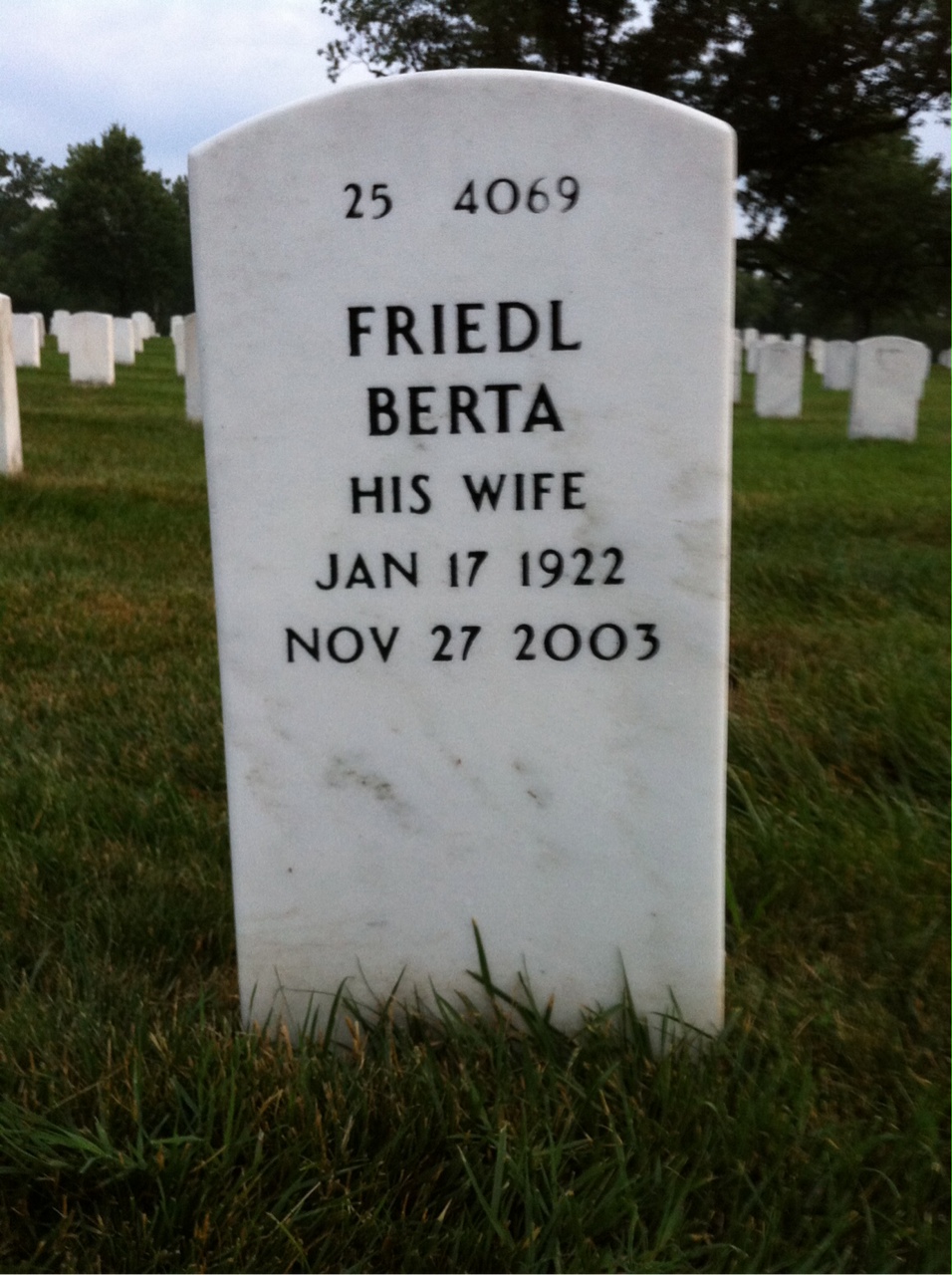 Back of headstone — Donald O'Higgins