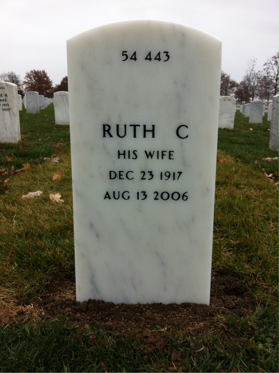 Back of headstone — Earl Albers