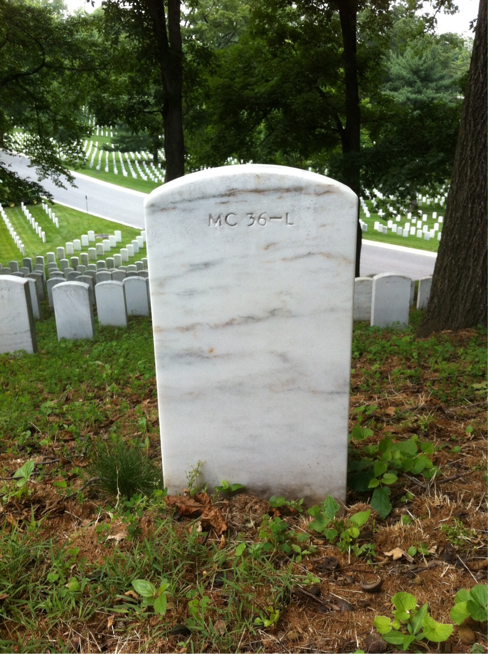 Back of headstone — James L Johnson