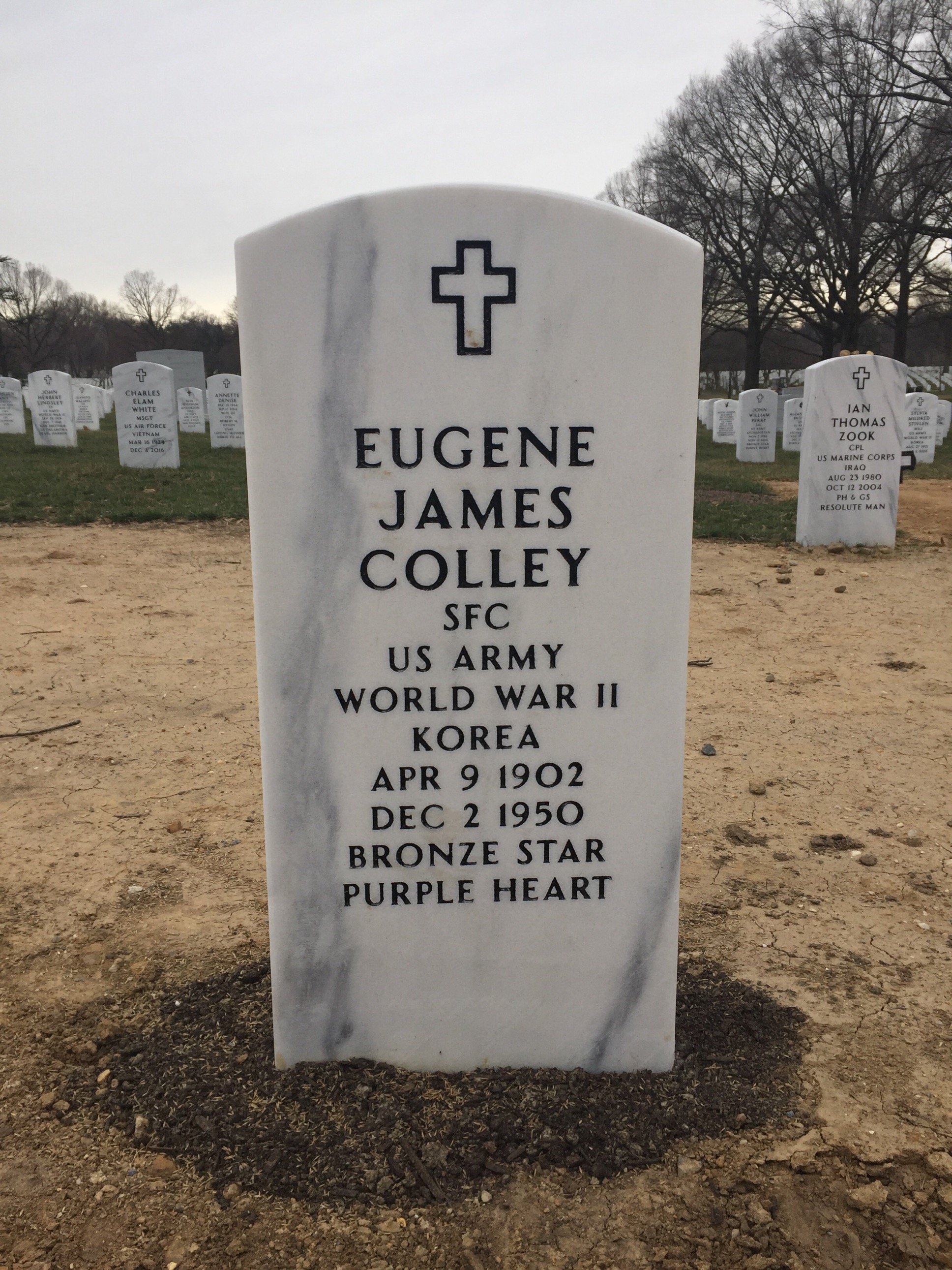 Headstone of Eugene James Colley