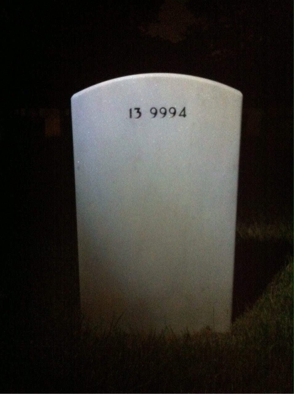 Back of headstone — Alonzo Mcniel
