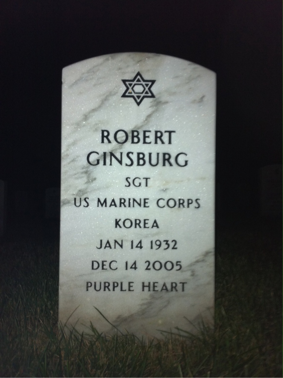 Robert Ginsburg