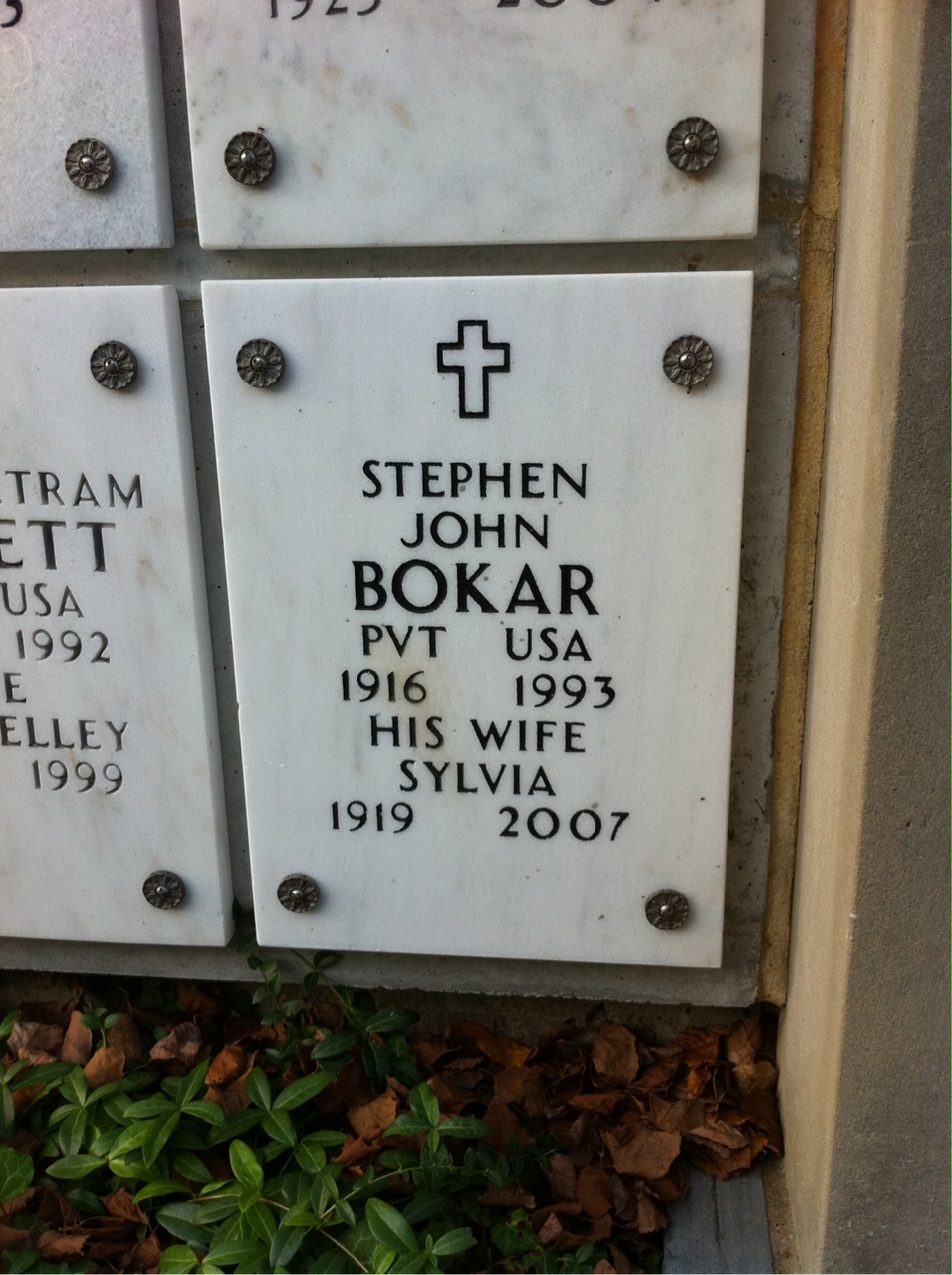 Stephen Bokar