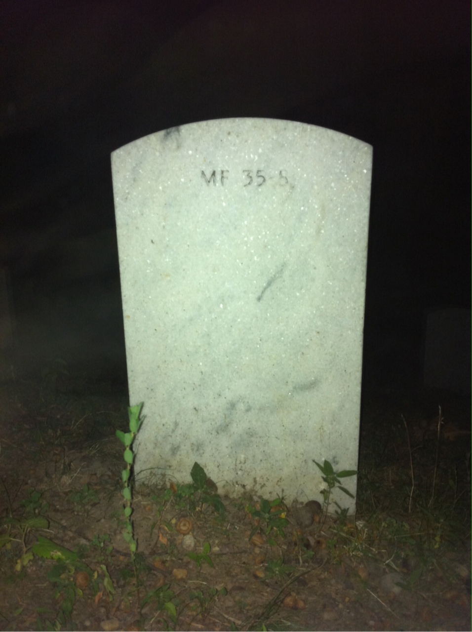 Back of headstone — William Albert Broam