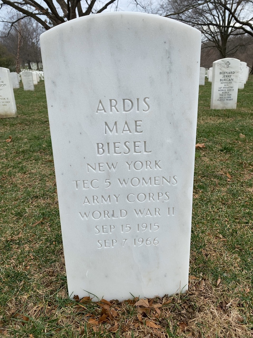 Ardis Biesel