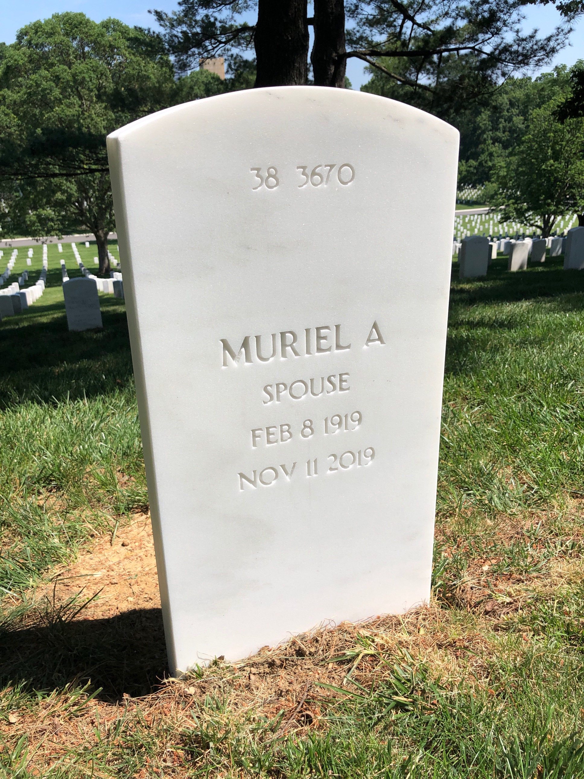 Back of headstone — Mynderse Taylor