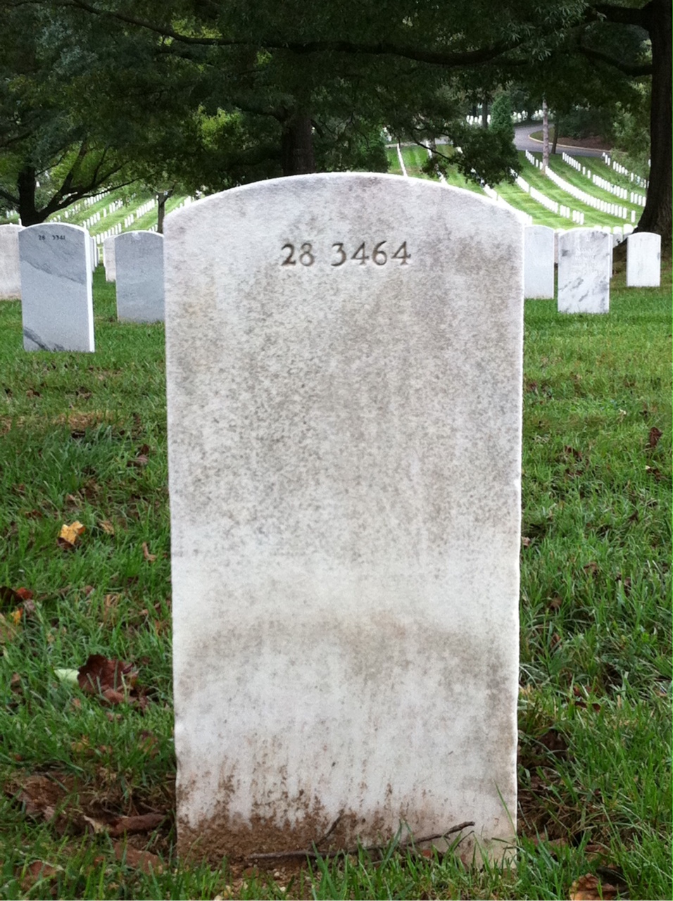 Back of headstone — Fred Mitchel