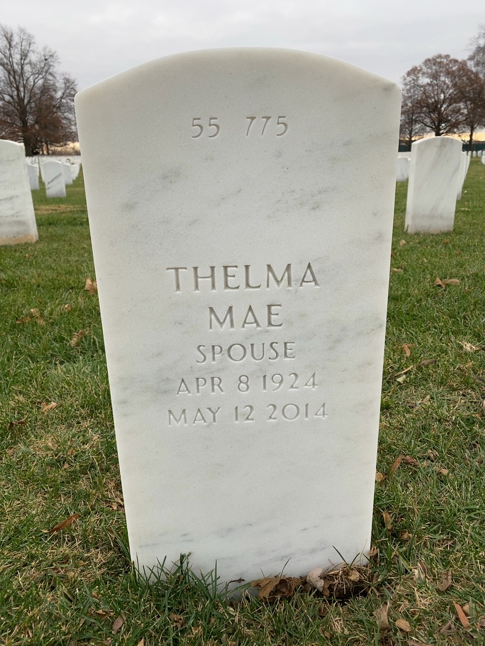 Back of headstone — Harry Begle