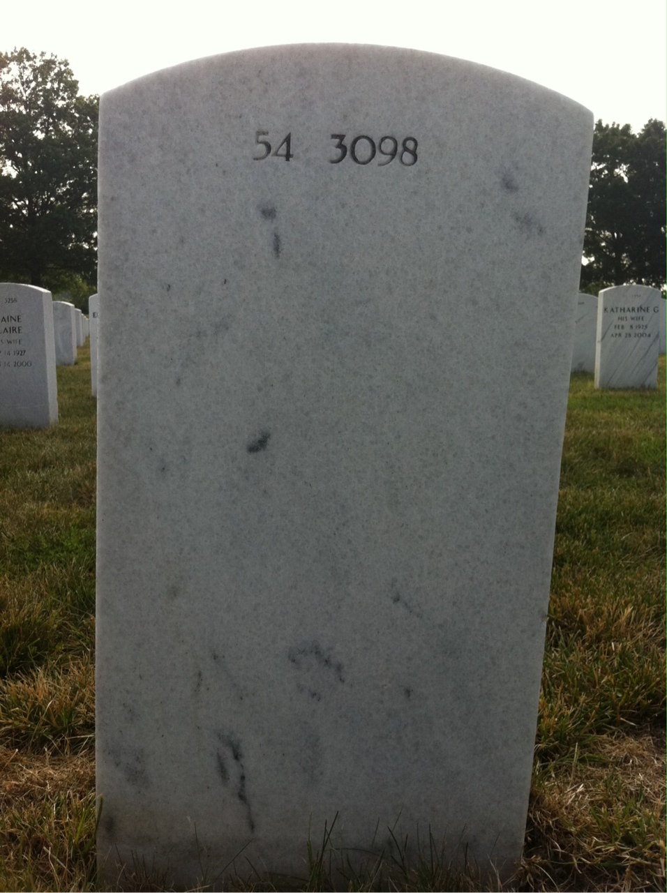 Back of headstone — Theresa Detamble Conley