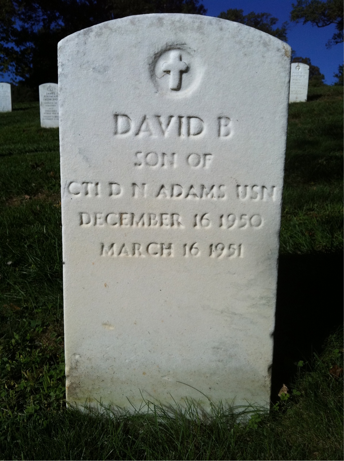 David Adams