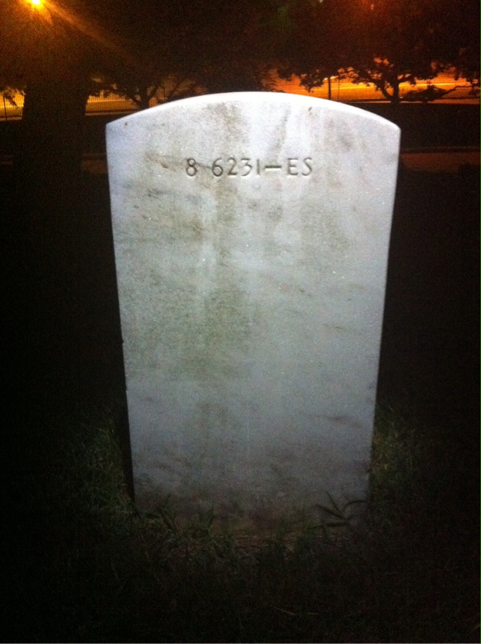 Back of headstone — Estelle Moltz