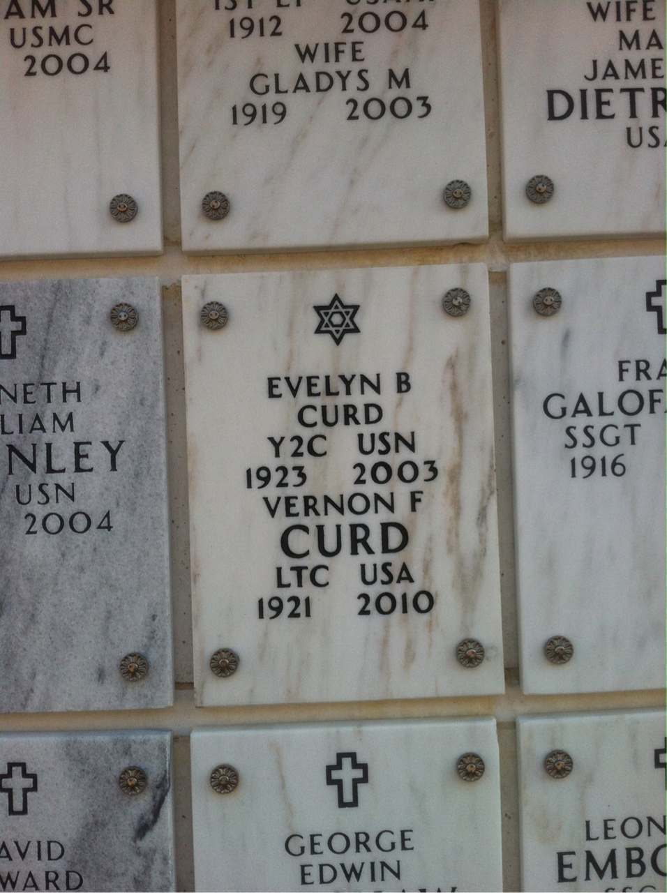 Evelyn Curd