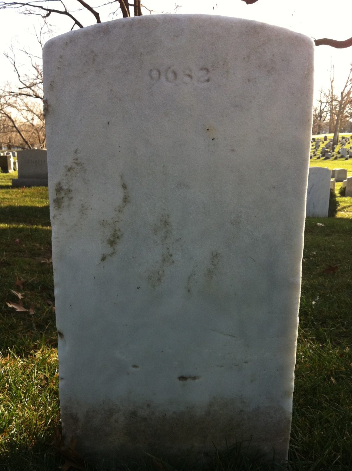 Back of headstone — William Mcintyre