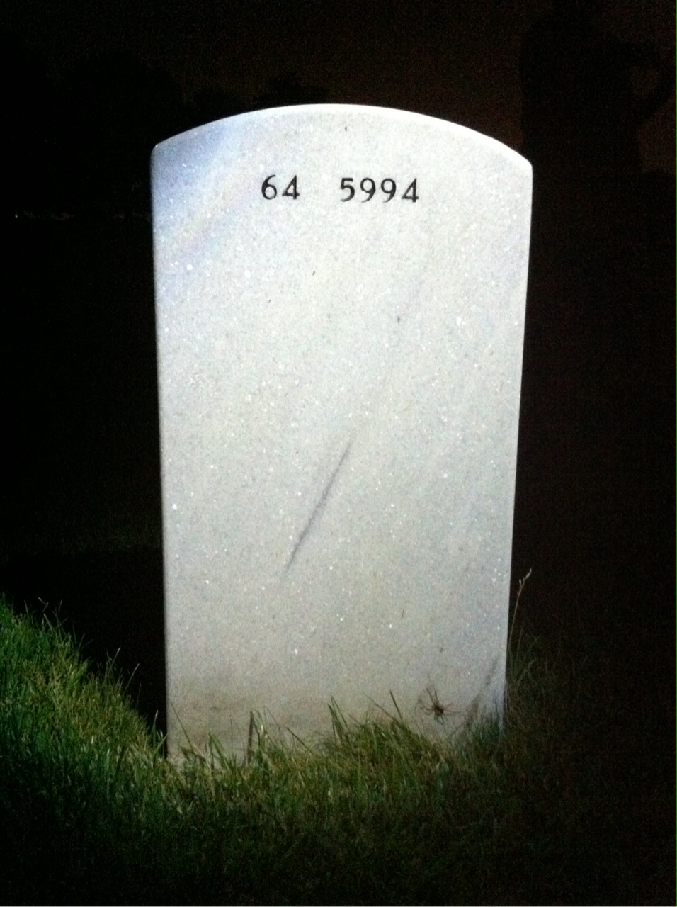 Back of headstone — Louis Kish