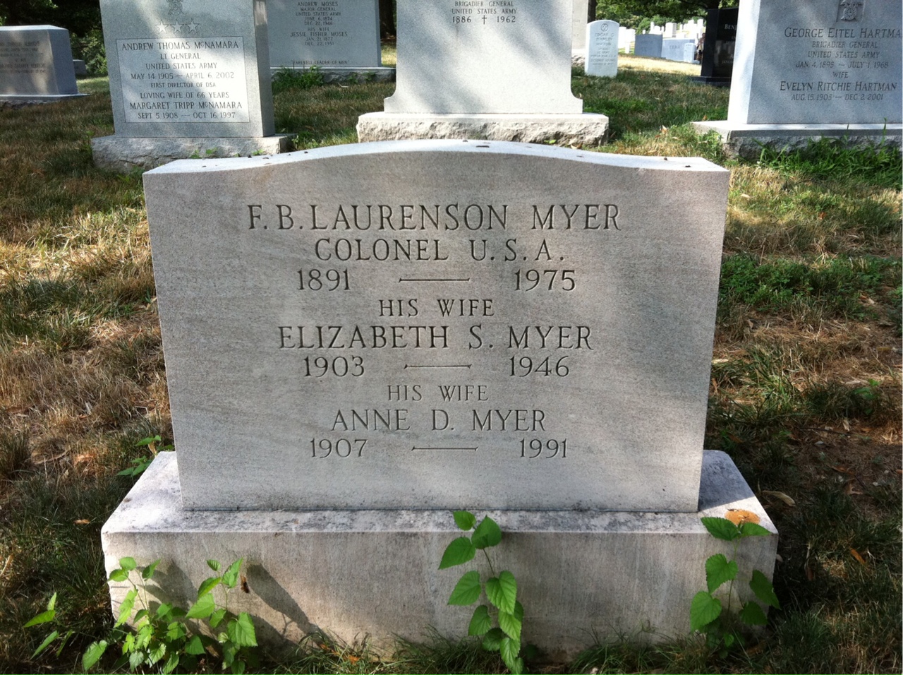 Anne Myer