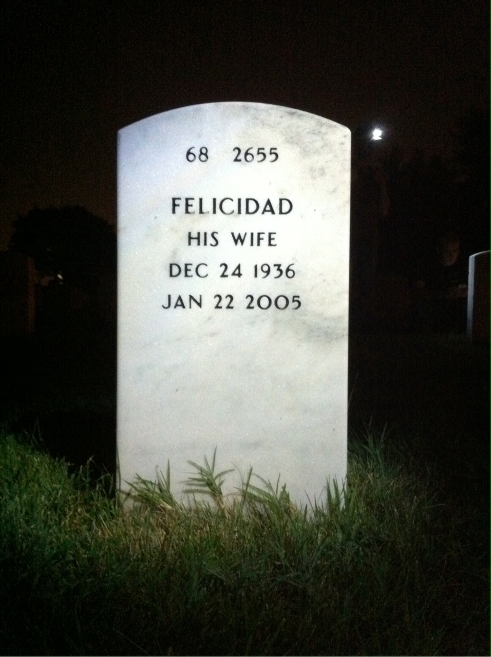 Back of headstone — Harry Goldinger