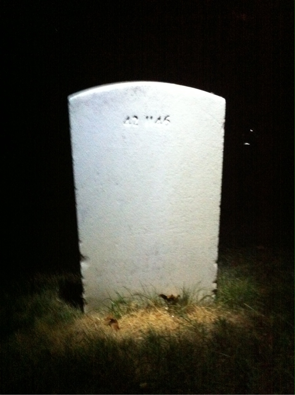 Back of headstone — Thomas Early Holland