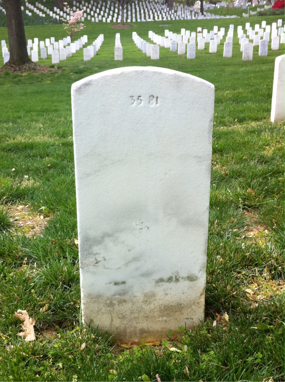 Back of headstone — William Leroy Johnson
