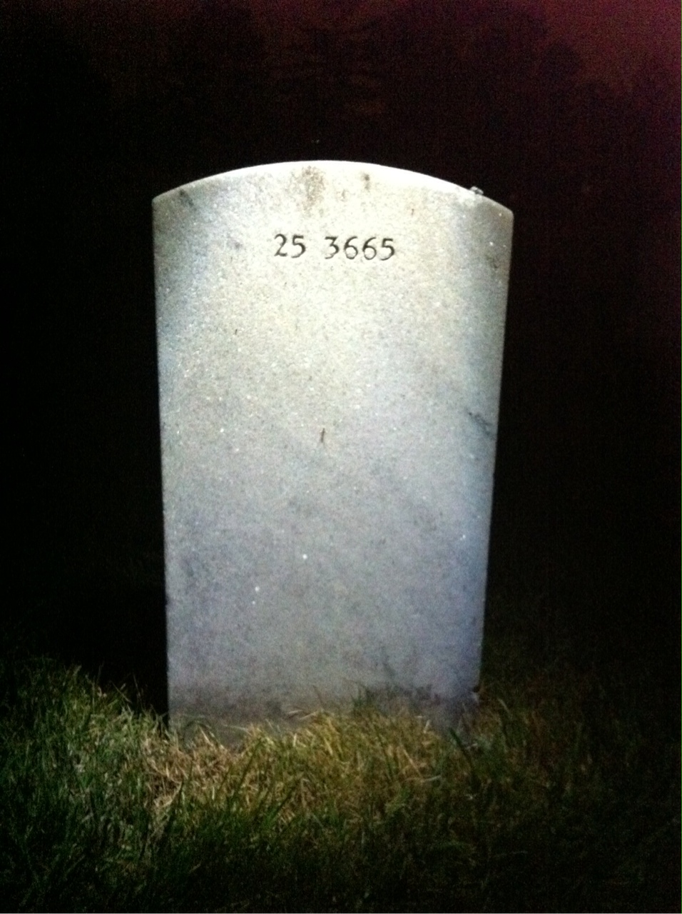 Back of headstone — Chester Murphy